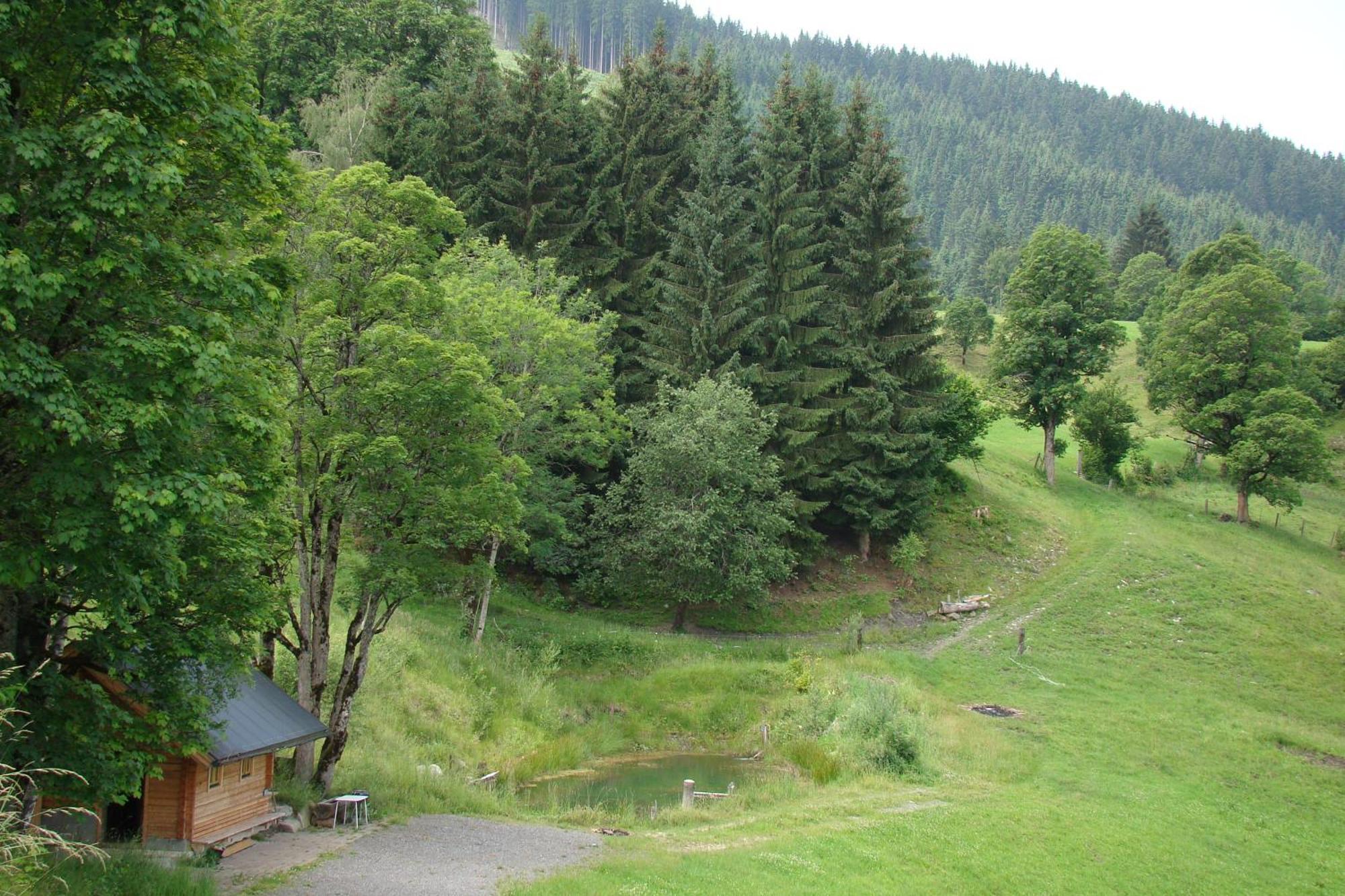 Villa Unterholzhof Piesendorf Exterior foto